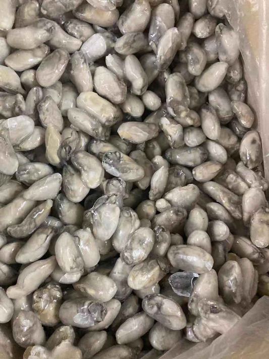 FROZEN OYSTER MEAT